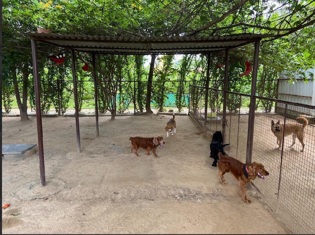 Petspace gallery image 2